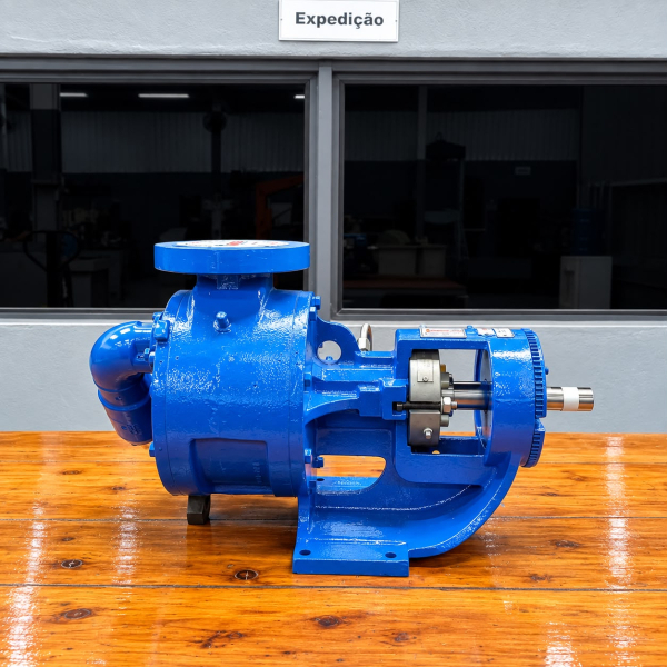 BOMBA ENGRENAGEM VIKING F15859